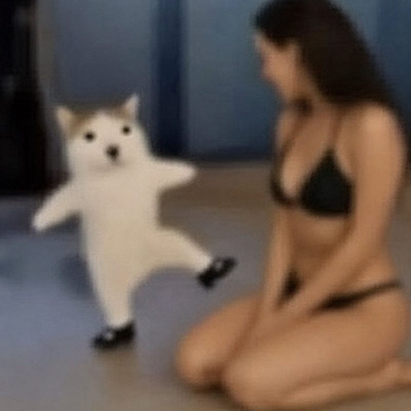 CET dancing